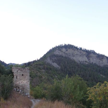 Hotel Dalko Bordžomi Exteriér fotografie