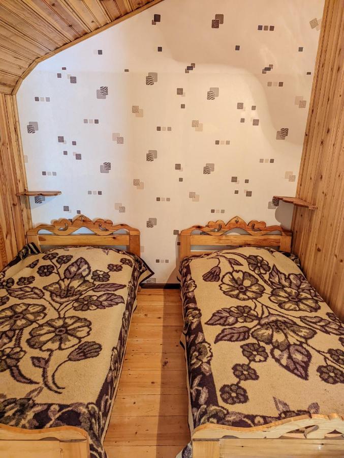 Hotel Dalko Bordžomi Exteriér fotografie
