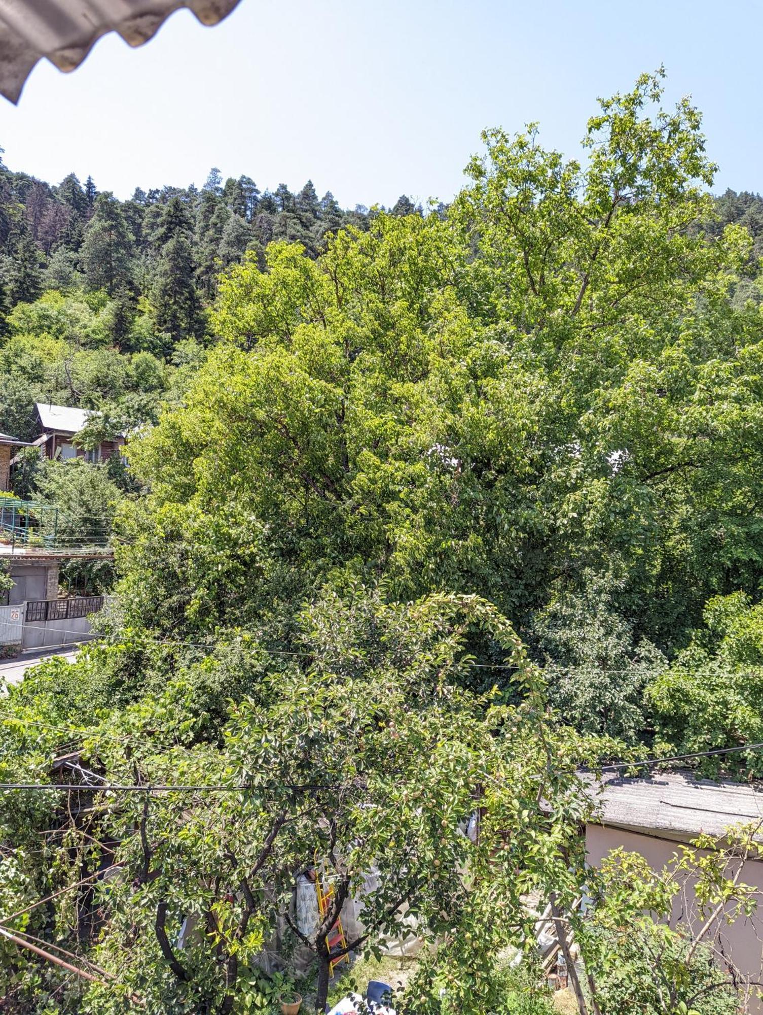 Hotel Dalko Bordžomi Pokoj fotografie