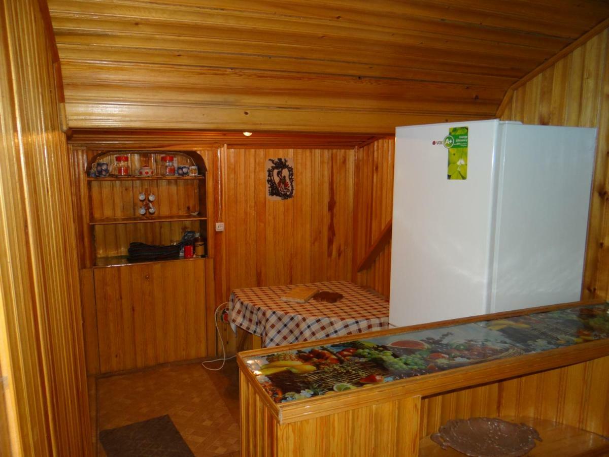 Hotel Dalko Bordžomi Exteriér fotografie