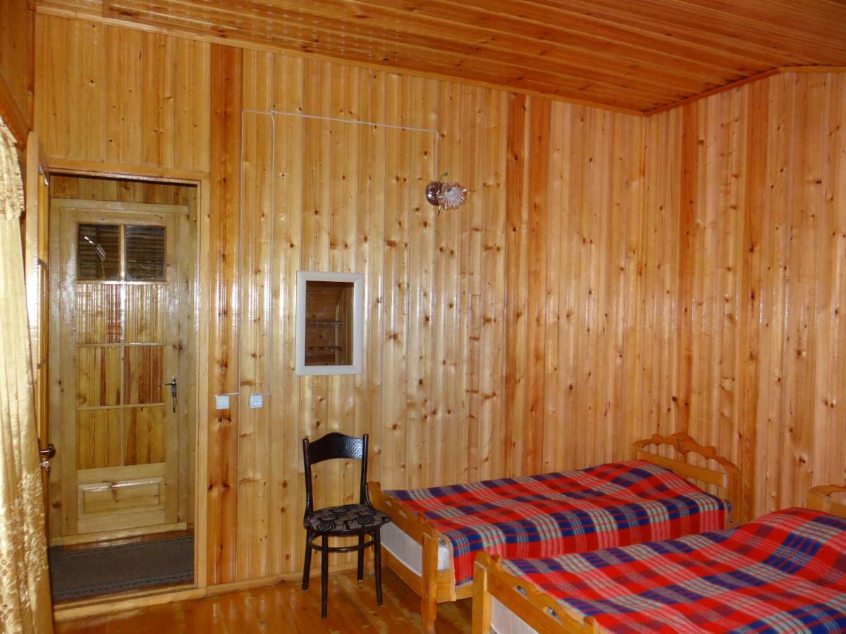 Hotel Dalko Bordžomi Exteriér fotografie