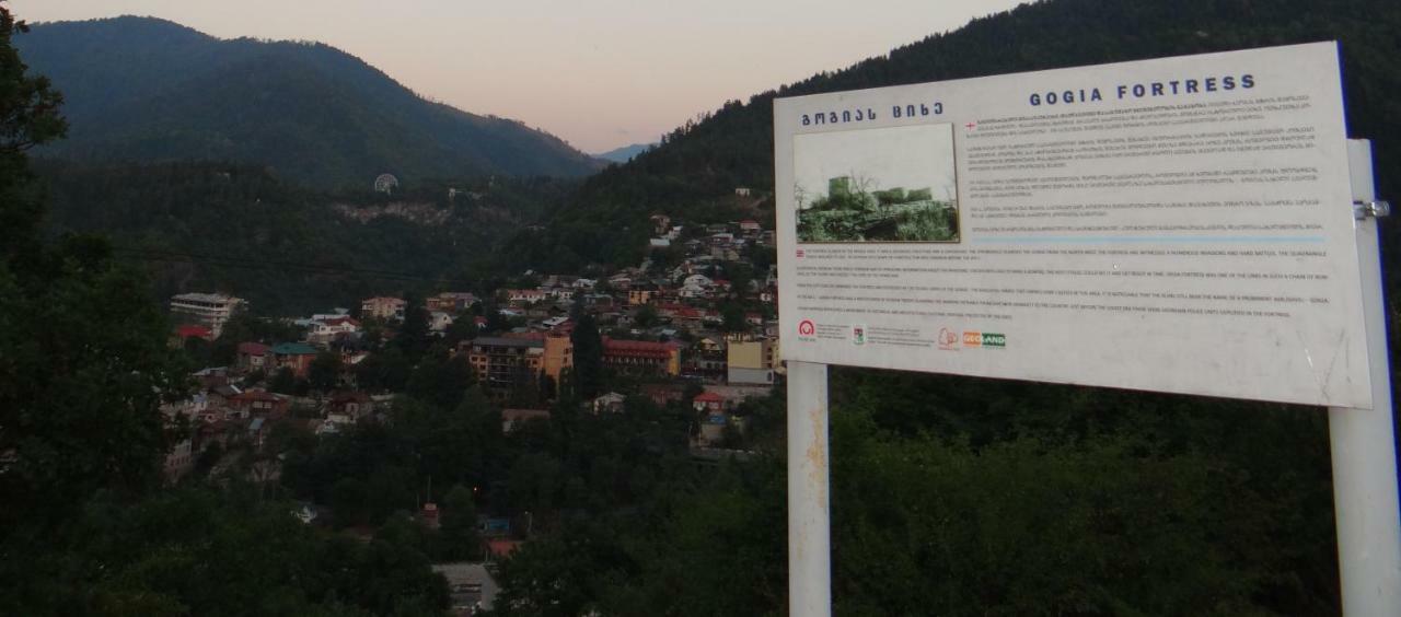 Hotel Dalko Bordžomi Exteriér fotografie